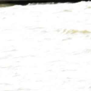 Meet your Posher, Joeisyourmama